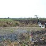 Mencuat! Polemik Pembangunan Kandang Ayam Modern Di Desa Tonjong - Pasaleman