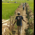 Tanahnya Belum Dibayar Lunas Tapi Sudah Dibangun Saluran, Warga Waled Desa Protes