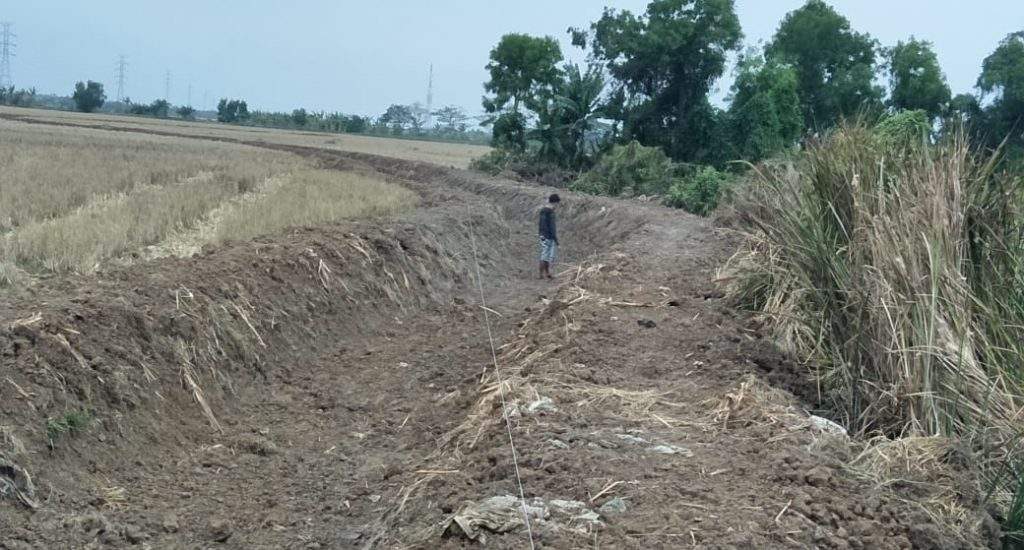 Warga Kapetakan Mengeluh: Sawahnya Dirusak oleh Proyek Saluran Air