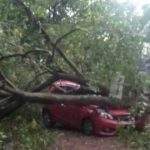 Bogor Diguncang Hujan Angin: 1 Mobil Ringsek Tertimpa Pohon Tumbang