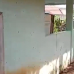 Warga Sindanglaut Cirebon Diteror Ulat Bulu