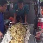 Tawuran Maut di Karawang: 1 Siswa SMP Tewas Dibacok