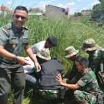 Vertiver Tanaman Pencegah Abrasi Dan Longsor