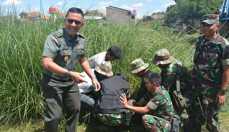 Vertiver Tanaman Pencegah Abrasi Dan Longsor Vertiver Tanaman Pencegah Abrasi Dan Longsor