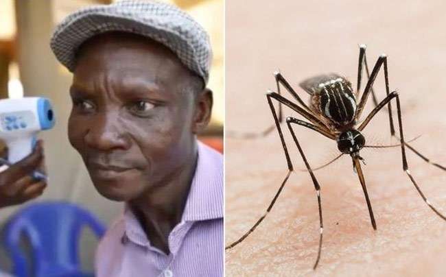 Pria ini Mengaku Bau Kentutnya bisa Membunuh Nyamuk Pria ini Mengaku Bau Kentutnya bisa Membunuh Nyamuk