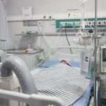 Balita Mundu yang Digigit Ular Welang, Meninggal Dunia