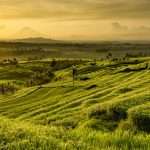 TAJUK: Dana Desa Langsung Masuk Rekening Desa, Yuk Kita Awasi!