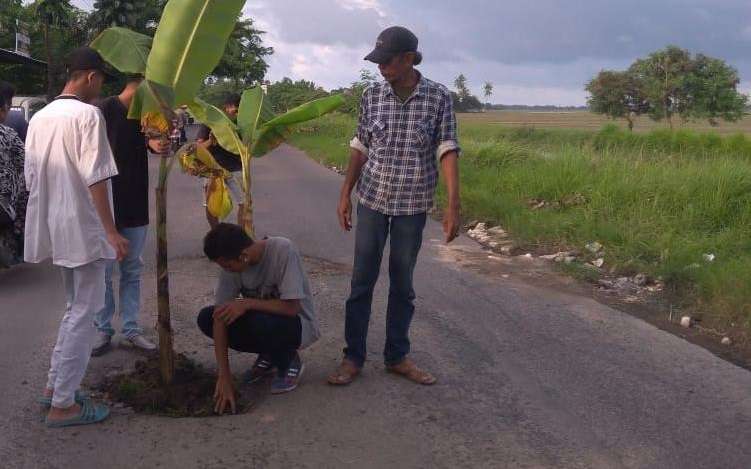 Ada Pohon Pisang di Tengah Jalan Sungai Buntu, "Warga Ancam Tolak Pilih Cellica"