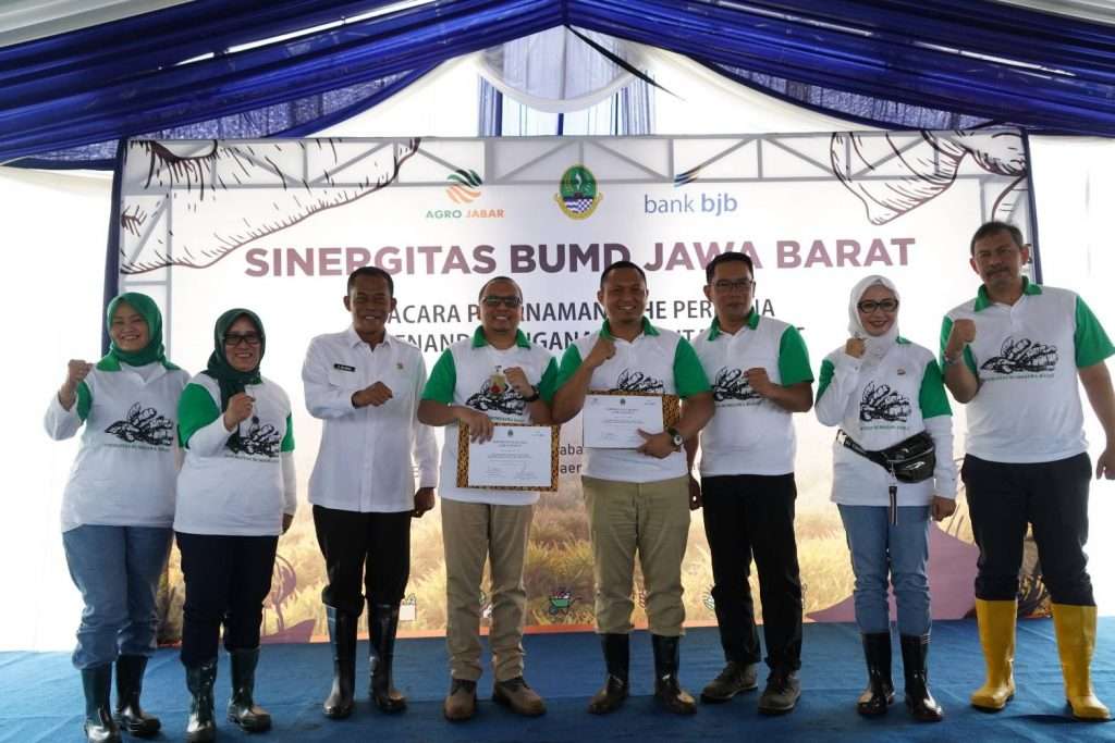 Sinergitas BUMD, bank bjb Salurkan Kredit ke PT Agro Jabar