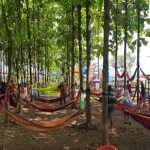 Wisata Kebon Jati Ciledug Wetan Diisukan Tak Berizin, Ini Kata Pengelolanya