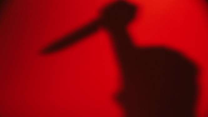 Cekcok Rumah Tangga, Istri Bacok Suami di Sukabumi