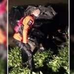 Parah! Mobil Nyebur ke Irigasi di Johar Karawang, Begini Kronologisnya