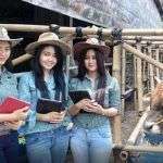 Rayakan Idul Adha dengan Protokol Kesehatan