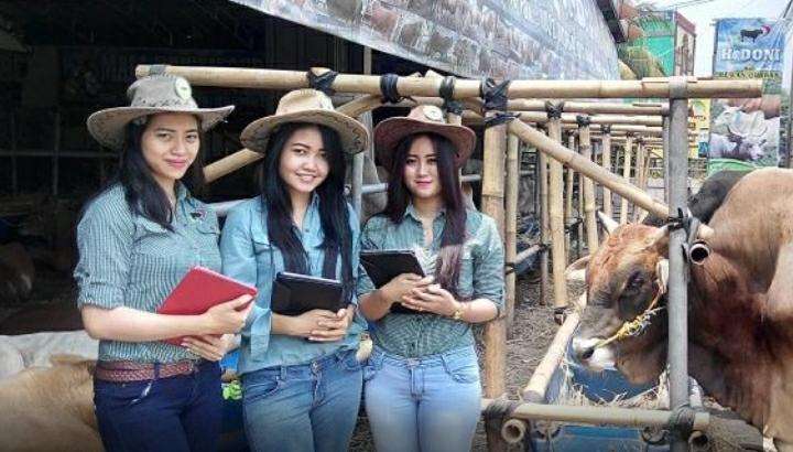 Rayakan Idul Adha dengan Protokol Kesehatan