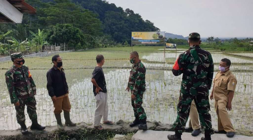 Danrem 063/SGJ Perkenalkan "Senjata Baru" Ketahanan Pangan Milik AD
