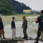 Danrem 063/SGJ Perkenalkan "Senjata Baru" Ketahanan Pangan Milik AD