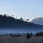 Embun Es Di Dieng Jadi Trending Di Twiter, Ini Penjelasan Pengelola