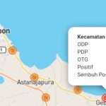 Pria 36 Tahun Warga Kecamatan Gebang Terkonfirmasi Positif Corona