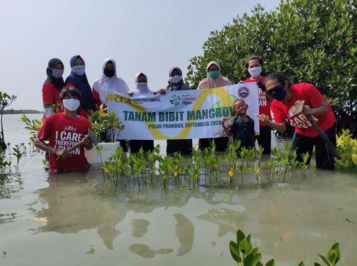 Peringati Hari Ozon Sedunia, Amatil Indonesia Tanam 1.000 Bibit Pohon Mangrove Peringati Hari Ozon Sedunia, Amatil Indonesia Tanam 1.000 Bibit Pohon Mangrove