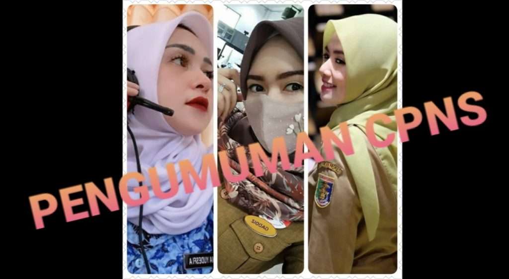 Catet! Pengumuman Kelulusan CPNS Tanggal 30 Oktober 2020