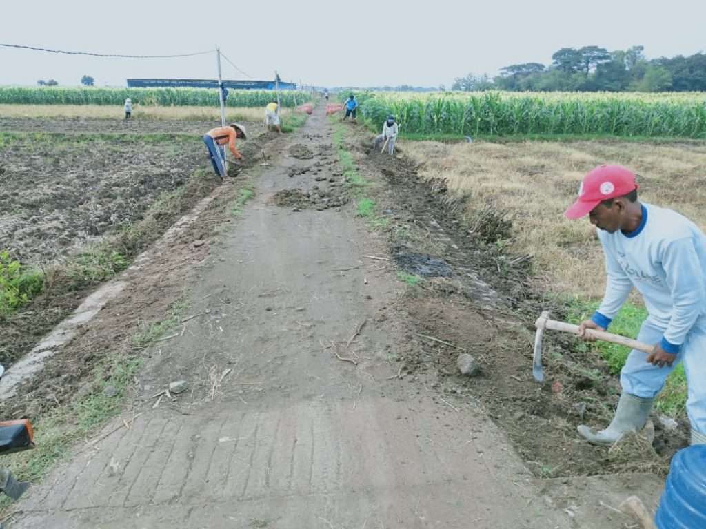 Bangub 2020, Pemdes Gagasari Realisasikan Jalan Usaha Tani Rabat Beton