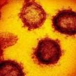 KIPI Jabar Pastikan Dugaan Kasus Guru Sukabumi Akibat Vaksin Tak Terbukti