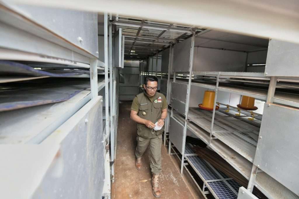 Ridwan Kamil Tinjau Apartemen Ayam Untuk Petani Milenial