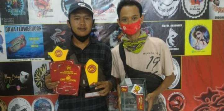 Beskem Cupang, Sabet Juara Kontes Hingga Banjir Orderan Se-Indonesia