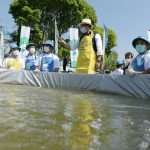 Gubernur Jabar Resmikan Petani Ikan Milenial Di Cianjur
