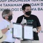 428 Petani Milenial Garap Komoditas Tanaman Hias & Ubi Jalar