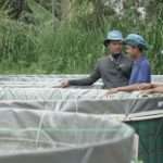 Pelatihan Bikin 'Petani Ikan Milenial' Tambah Pengetahuan