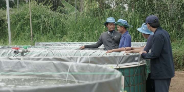 Pelatihan Bikin 'Petani Ikan Milenial' Tambah Pengetahuan Pelatihan Bikin 'Petani Ikan Milenial' Tambah Pengetahuan