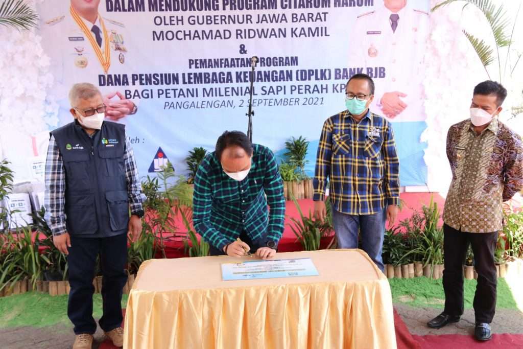 Dorong Milenial Jabar Beternak Sapi Perah Dorong Milenial Jabar Beternak Sapi Perah