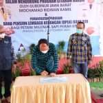 Dorong Milenial Jabar Beternak Sapi Perah