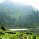 Gubenur Ridwan Kamil Sampaikan Pemulihan Sungai Citarum di Konferensi Dunia COP26