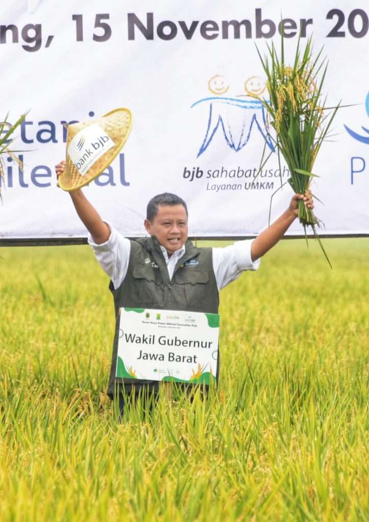 Jabar Panen Raya Petani Milenial Komoditas Padi