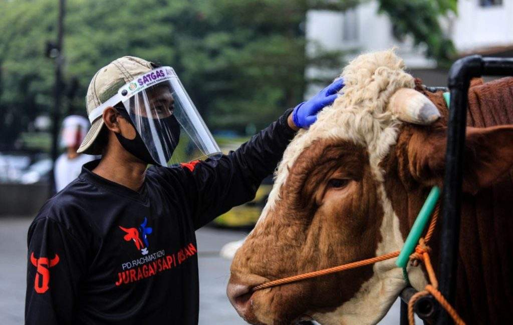 Hadapi Idul Adha, Jabar Siap Penuhi Kebutuhan Hewan Kurban Sehat