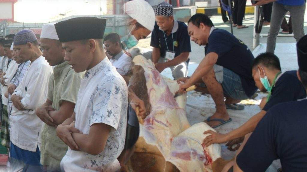 Petugas dan WBP Lacika Laksanakan Shalat Idul Adha dan Sembelih Hewan Qurban Petugas dan WBP Lacika Laksanakan Shalat Idul Adha dan Sembelih Hewan Qurban