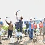 Jabar Gencarkan Penanaman Jutaan Bibit Mangrove di Pesisir Utara