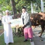 Idul Adha, Pemprov Jabar Serahkan Bantuan Sapi Satu Ton