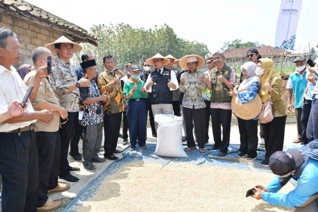 Gubernur Jabar Luncurkan Tapal Desa Digitalisasi Lumbung Padi