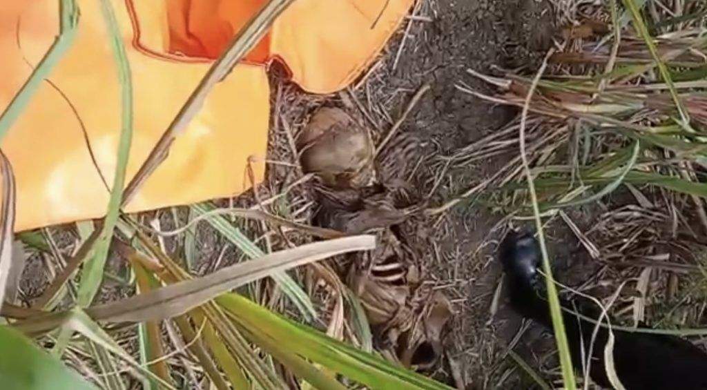 Geger Penemuan Mayat Misterius Sudah Jadi Kerangka Di Desa Gebang Udik Geger Penemuan Mayat Misterius Sudah Jadi Kerangka Di Desa Gebang Udik