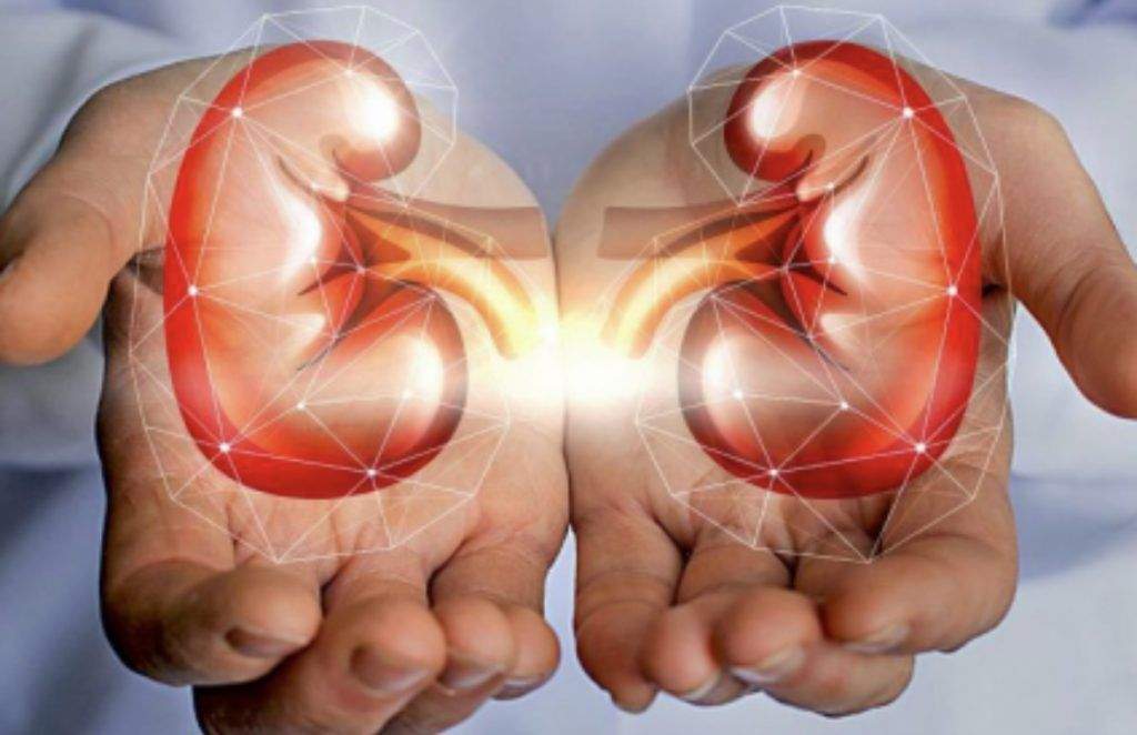 Dinas Kesehatan Jabar Tingkatkan Kewaspadaan Dini Gangguan Ginjal Akut pada Anak Dinas Kesehatan Jabar Tingkatkan Kewaspadaan Dini Gangguan Ginjal Akut pada Anak