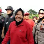 Rangkaian HUT ke-50, PDIP Tanam Pohon Serentak se-Jawa Barat