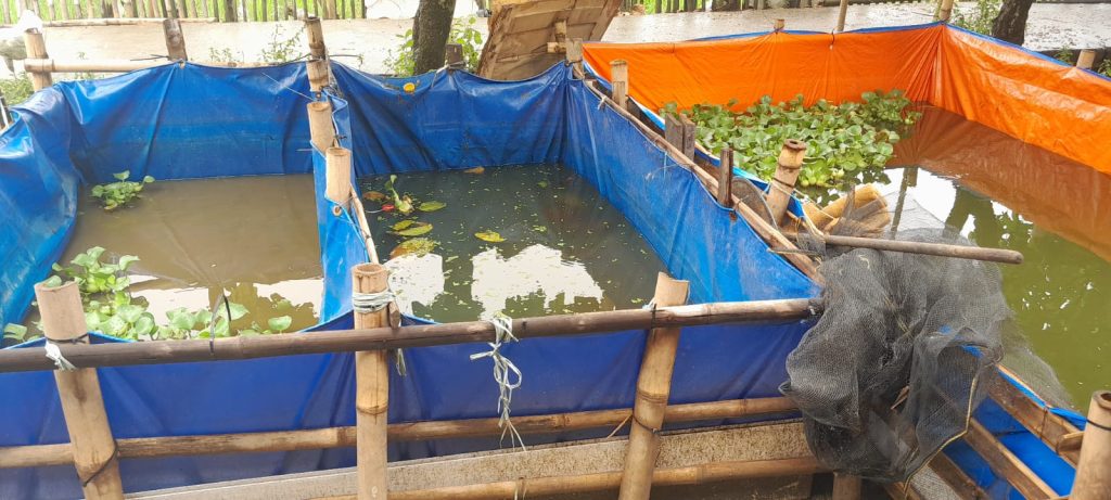 Diduga Adanya Praktik KKN Pada Program Ketahanan Pangan Desa Karang Anyar