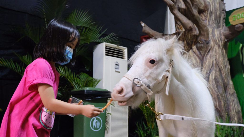 Planimals Exhibition, Summarecon Mal Bekasi Hadirkan Pameran Hewan Peliharaan dan Tanaman Hias