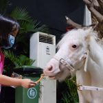 Planimals Exhibition, Summarecon Mal Bekasi Hadirkan Pameran Hewan Peliharaan dan Tanaman Hias