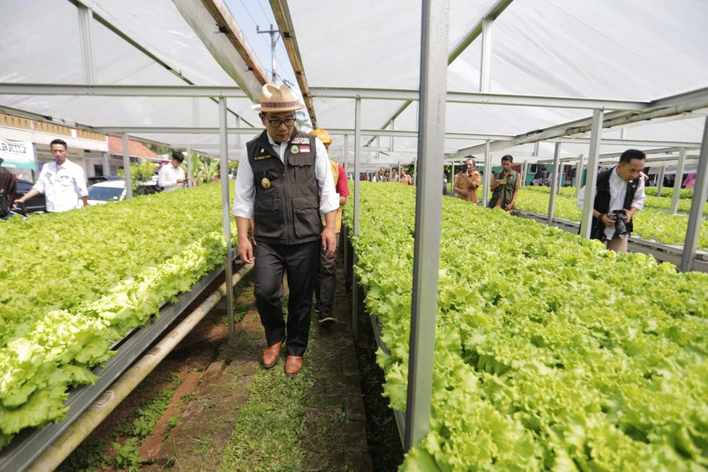 Ridwan Kamil Persembahkan Satyalancana Wira Karya kepada Elemen Masyarakat Pertanian Jabar