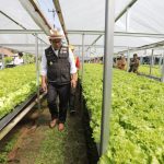 Ridwan Kamil Persembahkan Satyalancana Wira Karya kepada Elemen Masyarakat Pertanian Jabar