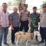 Pilwu Kondusif, Bhabin Desa Cangkuang Bripka Nanang Tunaikan Nazar Kambing